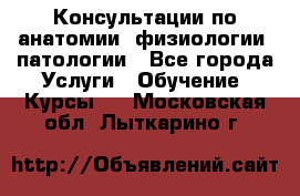 Консультации по анатомии, физиологии, патологии - Все города Услуги » Обучение. Курсы   . Московская обл.,Лыткарино г.